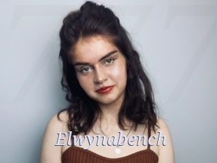 Elwynabench