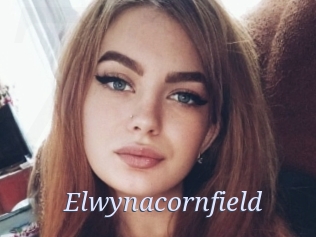 Elwynacornfield