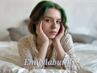 Emilylabunny