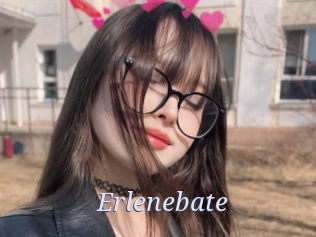 Erlenebate