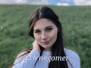 Erlenegomer