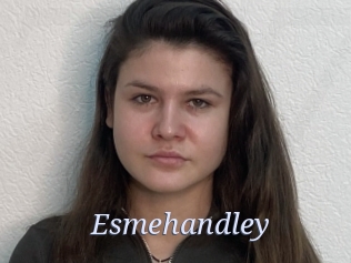 Esmehandley
