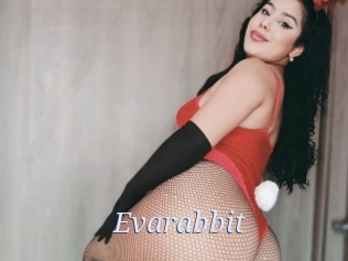 evarabbit 777 Erotik Chat