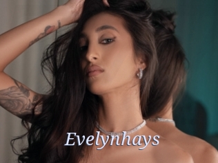 Evelynhays