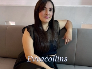 evvacollins 777 Erotik Chat