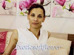 exoticsoftflower 777 Erotik Chat