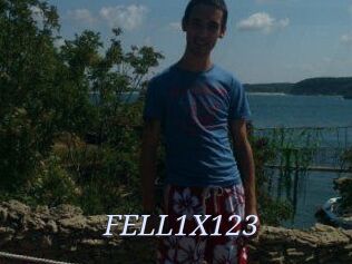 FELL1X123
