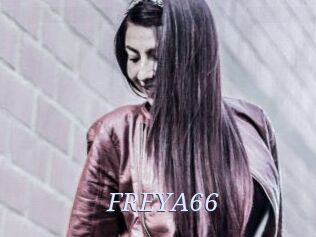 FREYA66