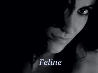 Feline