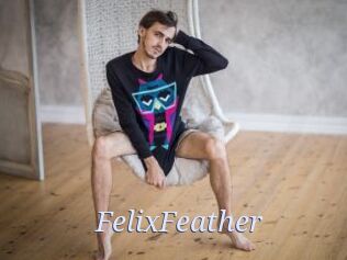 FelixFeather