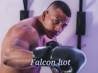 falcon_hot 777 Erotik Chat