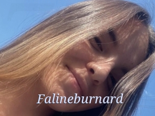 Falineburnard