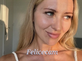 Felicecam