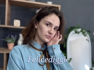 Felicediggle