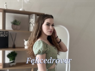 Felicedrover