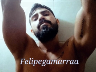 Felipegamarraa