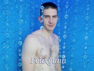 Felixgunn