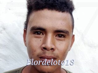 flordeloto18 777 Erotik Chat