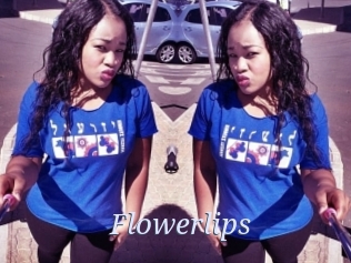 flowerlips 777 Erotik Chat