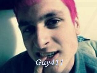 Gay411
