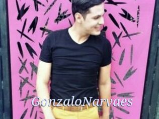 GonzaloNarvaes