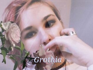 Grothia