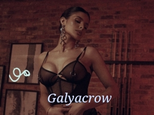 Galyacrow