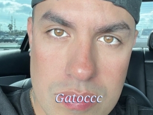 Gatoccc