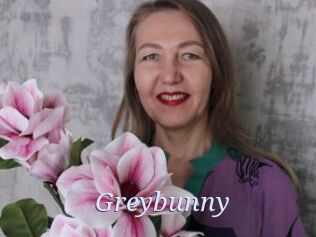 Greybunny