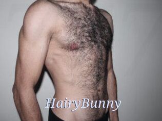 HairyBunny