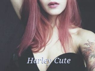 Harley_Cute