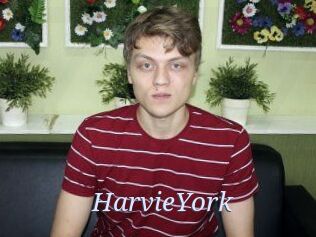 HarvieYork