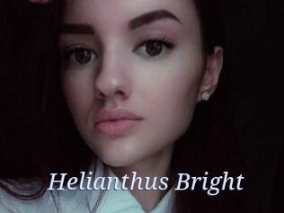 Helianthus_Bright