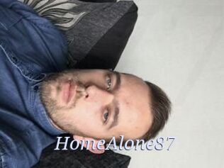 HomeAlone87