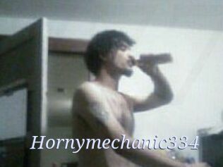 Hornymechanic334