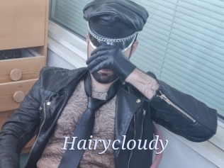 Hairycloudy
