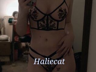 Haliecat