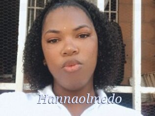 Hannaolmedo