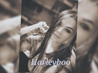 Harleyboo