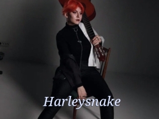 Harleysnake