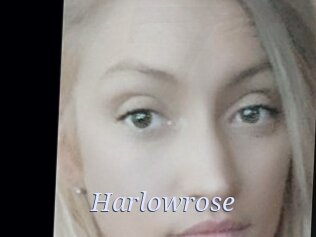 Harlowrose