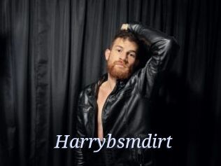 Harrybsmdirt
