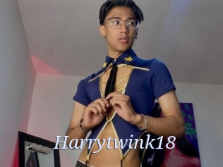 harrytwink18 777 Erotik Chat