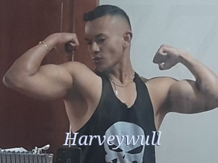 Harveywull