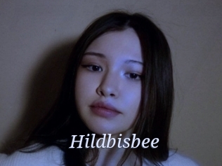 Hildbisbee