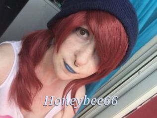 Honeybee66