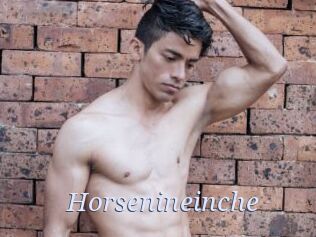 Horsenineinche