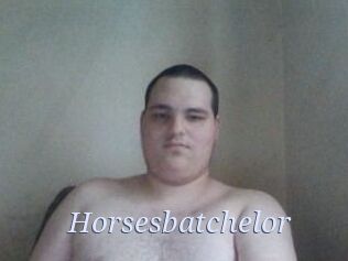 Horsesbatchelor