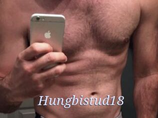 Hungbistud18