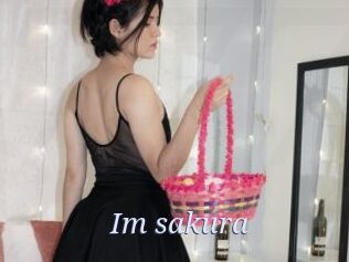 Im_sakura